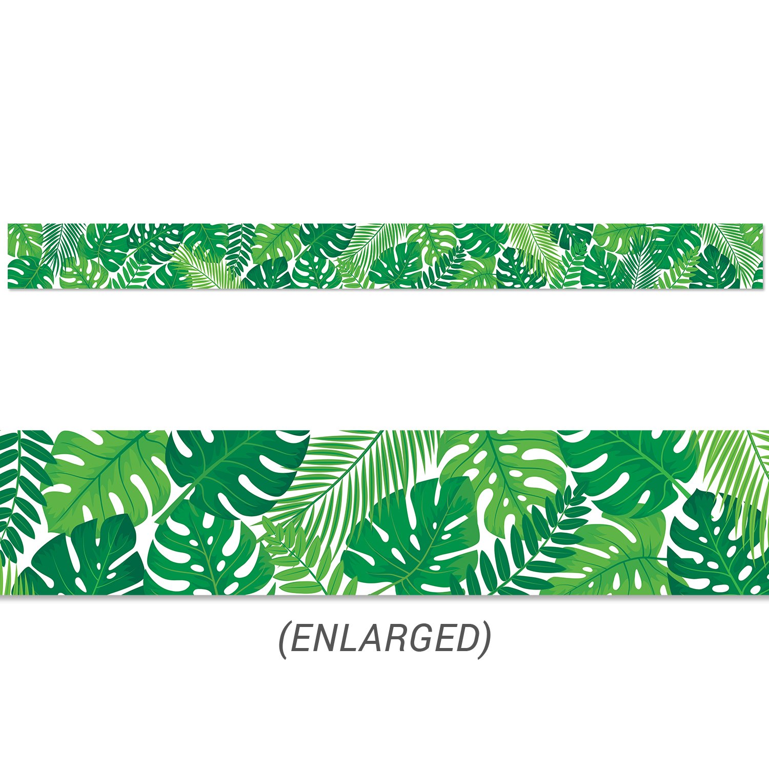 Palm Paradise Tropical Leaves Border CTP-10214