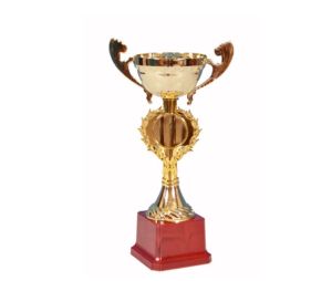 Golden Cup 