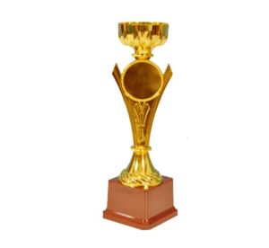 Designer Golden Cup
