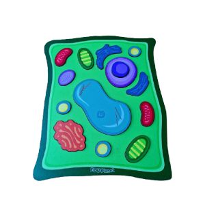 Puzzle Plant Cell