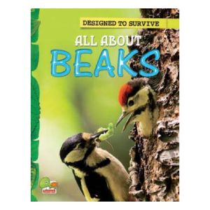 All About Beaks (Designed To Survive) Book